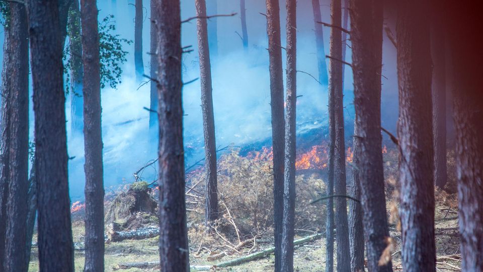 Dichter Rauch zieht durch den Wald in der Nähe der evakuierten Ortschaft Alt Jabel. 