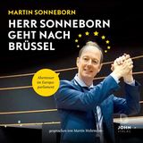 Darum geht's: Überraschend wurde Martin Sonneborn 2014 ins Europa-Parlament gewählt. Für den Titanic-Chefredakteur beginnt eine irrwitzige Reise. Ähnlich wie auf Klassenfahrt treffen Politiker aus 24 Ländern aufeinander, lernen sich kennen und sollen zusammen Politik machen. "Herr Sonneborn geht nach Brüssel" ist eine für die Titanic typische humorig-satirische Beobachtung des Politik-Zirkus in Brüssel.  Darum gehört das Buch ins Reisegepäck: Wer lachen und sich trotzdem politisch bilden möchte, für den ist Martins Sonneborns Buch genau das Richtige für den Urlaub. Interessant und aufklärend, aber nicht trocken. Perfekt für die Sonnenliege. Hier geht's zum Download auf Audible.