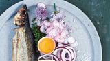 Røget Sild - traditionell geräucherter Hering  Zutaten: 2 ganze Heringe  Beilagen: 2 EL Schnittlauch, gehackt, 4 Radieschen, hauchdünn geschnitten (wenn möglich, mithilfe einer Mandoline),1 kleine Zwiebel, in dünne Ringe geschnitten, 25 g Butter, 2–4 dünne Scheiben Roggenbrot, 1 Eigelb vom sehr frischen Bio-Ei, Meersalz, 2–4 Schnittlauchblüten (optional)      Zubereitung: Zum Servieren je einen geräucherten Hering auf einen Teller legen und auch die Beilagen gleichmäßig verteilen. Sollten Schnittlauchblüten erhältlich sein, die Blütenblätter abzupfen und auf die Teller streuen. Die Brotscheiben leicht mit Butter bestreichen, die Fischhaut entfernen, das Fischfleisch in Stücke zupfen und auf das Brot geben. Mit den Zwiebelringen und den Radieschen belegen. Mit etwas Eigelb bestreichen und mit Meersalz und Schnittlauchblüten bestreuen.