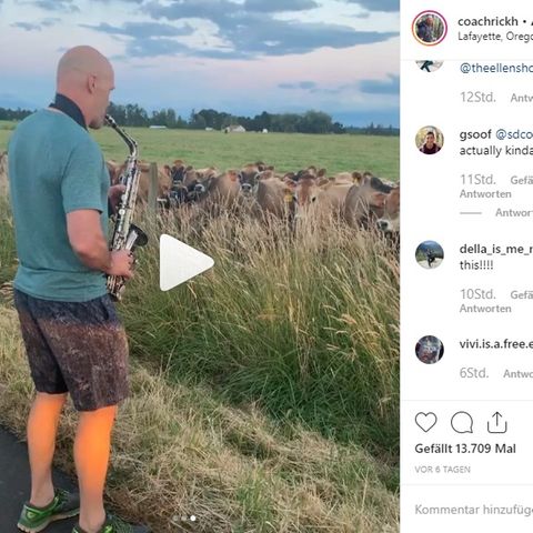Rick Herrmann verzückt zwei Dutzend Kühe auf einer Weide in Oregon