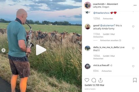 Rick Herrmann verzückt zwei Dutzend Kühe auf einer Weide in Oregon