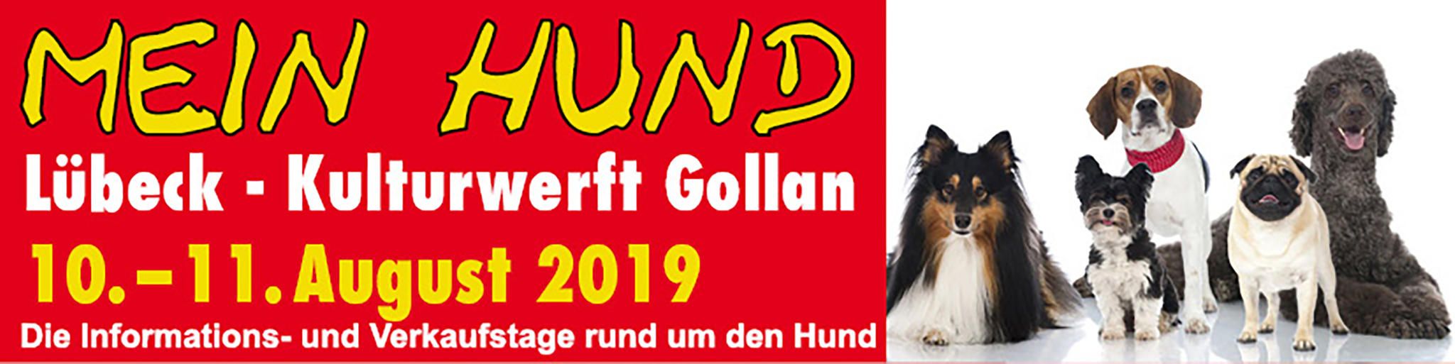 Termine für Hunde und ihre Besitzer: Events im Juli und August | STERN.de