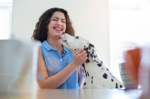 Termine für Hunde und ihre Besitzer: Events im Juli und August