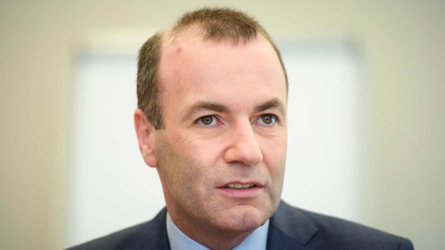 Manfred Weber, CSU