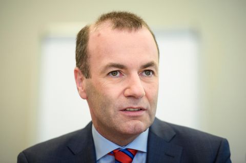 Manfred Weber, CSU