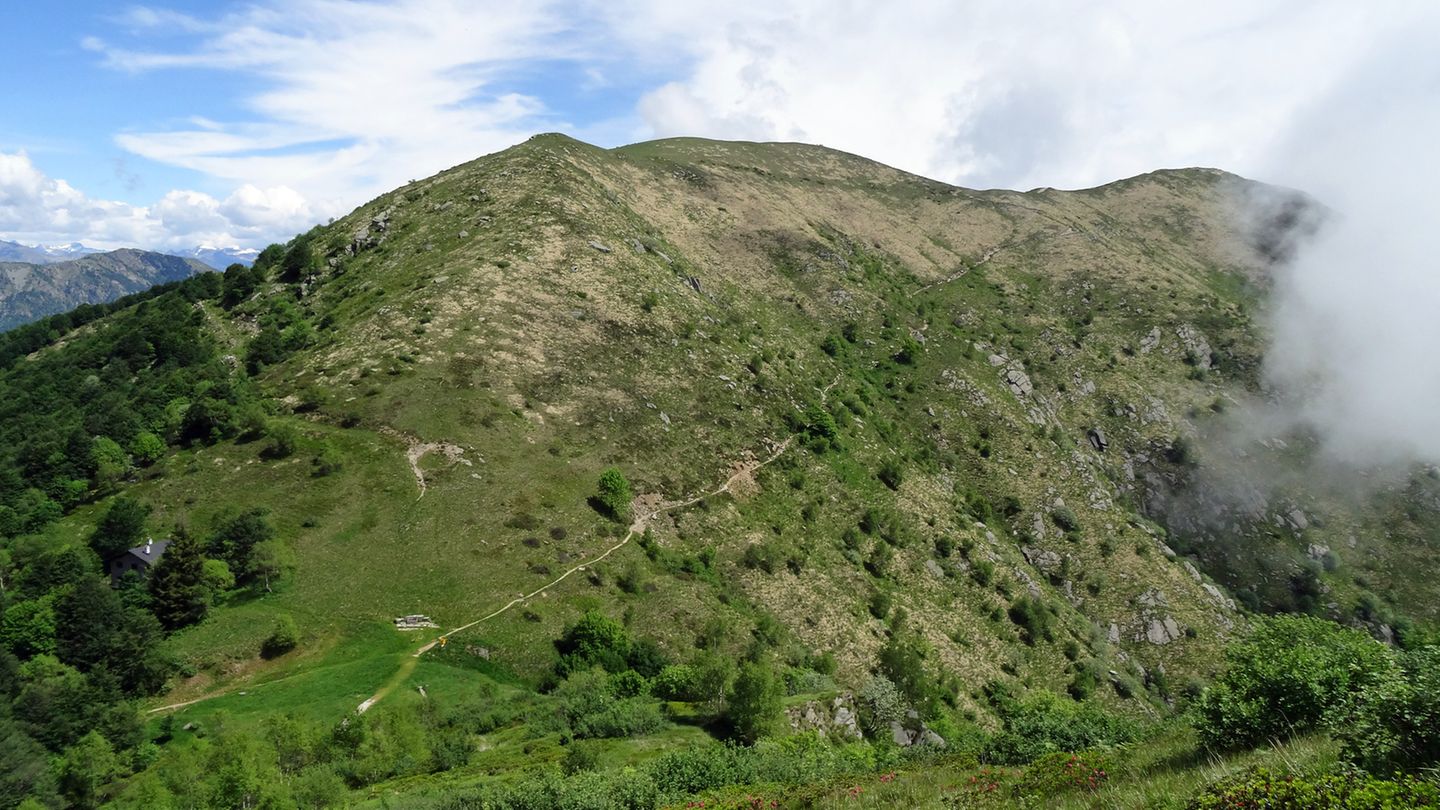 Monte Lema und Monte Tamaro  Zwischen den Gipfeln: Über der Baumgrenze und über knapp vier Stunden zieht sich der Pfad im Grünen vom Monte Lema bis zum Monte Tamaro hin.