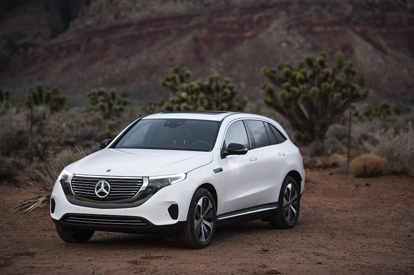 Mercedes ist "sicher, dass wir zum gegebenen Zeitpunkt unseren Kunden auch ein attraktives Angebot im Bereich gebrauchter Elektrofahrzeuge machen können." Mercedes ist "sicher, dass wir zum gegebenen Zeitpunkt unseren Kunden auch ein attraktives Angebot im Bereich gebrauchter Elektr