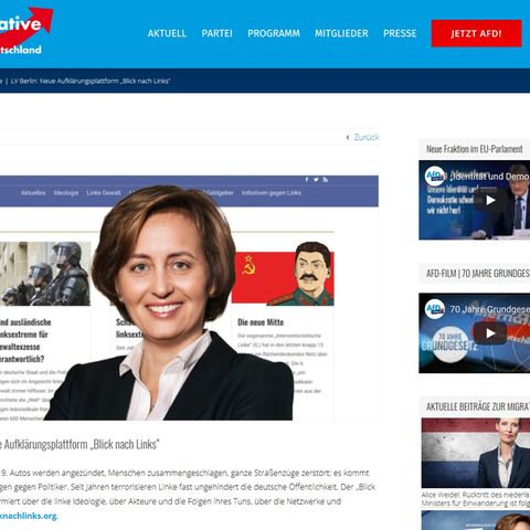 AfD Webportal gegen Links