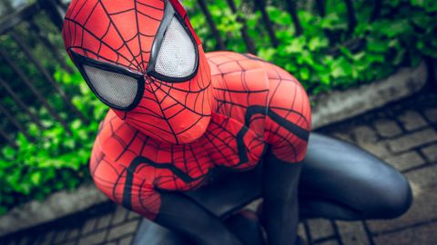 Ein als Mensch verkleideter Spiderman