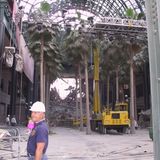 Plastikpalmen in einer ehemaligen Einkaufspassage