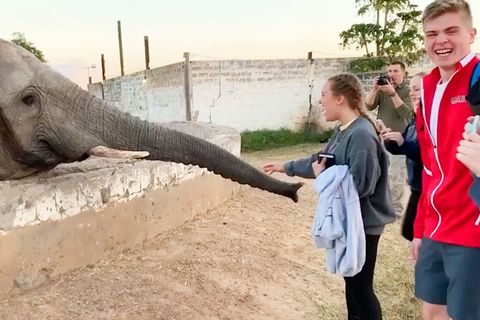 Sambia: Schülerin filmt Elefanten und kassiert heftigen Schlag