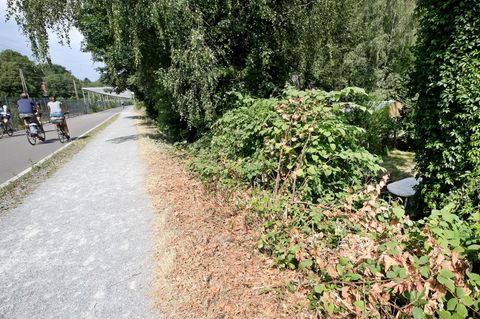 In der Nähe dieses Gebüsches in Mülheim an der Ruhr soll sich das Verbrechen zugetragen haben