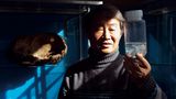 Ein japanischer Forscher betrachtet eine Qualle in einem gläsernen Gefäß
