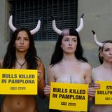 Stierhatz in Pamplona