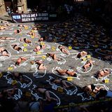 Stierhatz in Pamplona