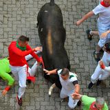 Stierhatz in Pamplona