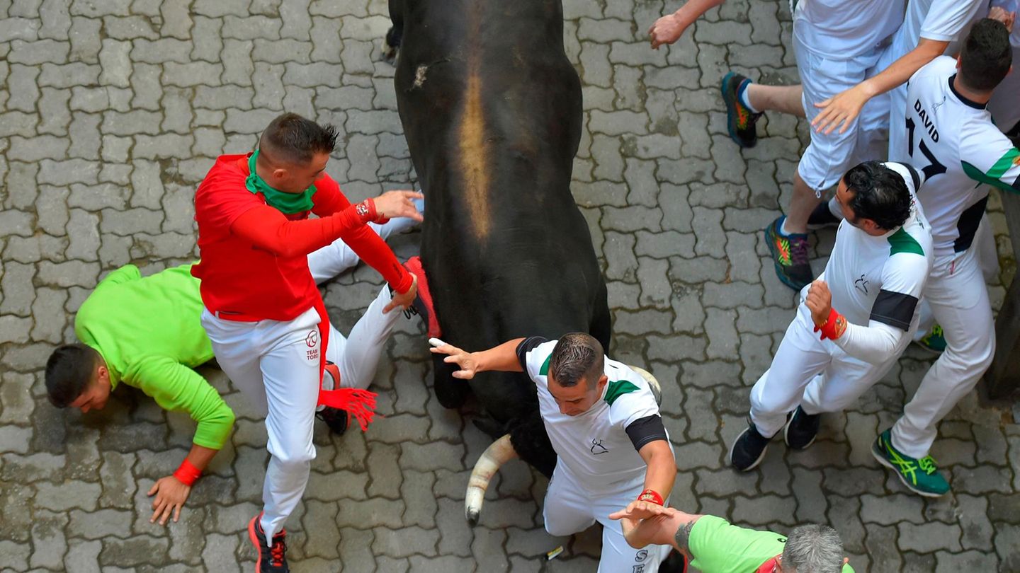 Stierhatz in Pamplona