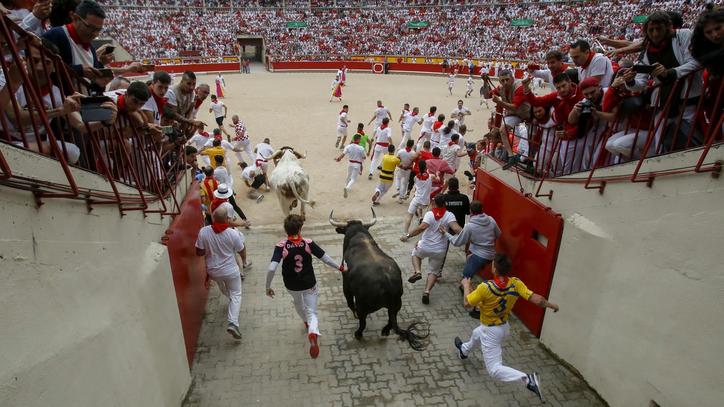 Stierhatz in Pamplona