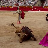 Stierhatz in Pamplona