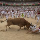 Bei dem seit 1591 stattfindenden Fest werden jeweils sechs Kampfstiere bis in die Arena getrieben, wo der tägliche Stierkampf beginnt. 