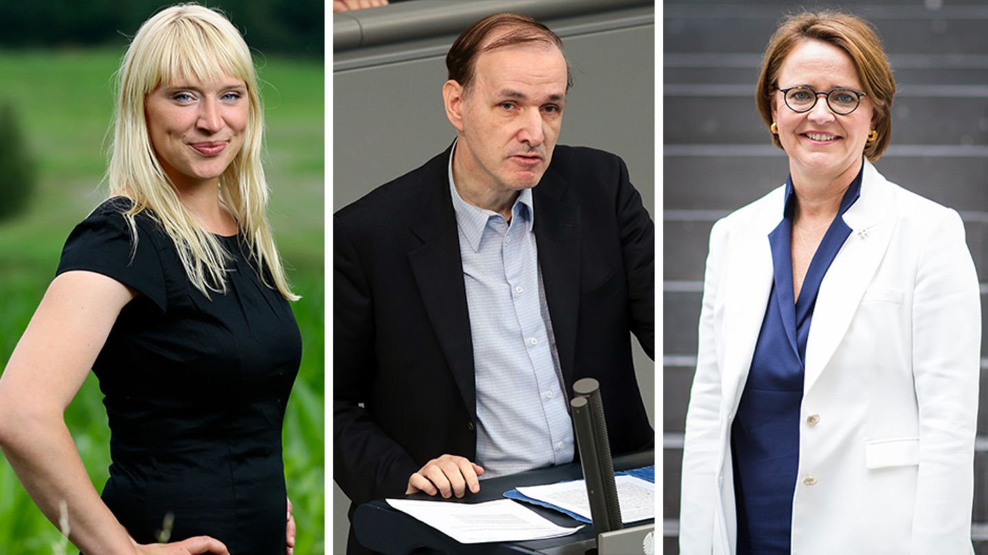 Luise Amtsberg (Grüne) (l.), Gottfried Curio (AfD) und Annette Widmann-Mauz (CDU) (r.) sind drei von sechs vom stern befragten Expertinnen und Experten für Migrationspolitik