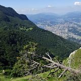 Tiefblick nach Lugano: Rechts im Bild schlängelt sich der Pfad kurz unterhalb der Grates durchs Gras