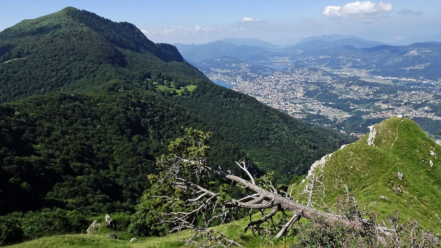 Tiefblick nach Lugano: Rechts im Bild schlängelt sich der Pfad kurz unterhalb der Grates durchs Gras