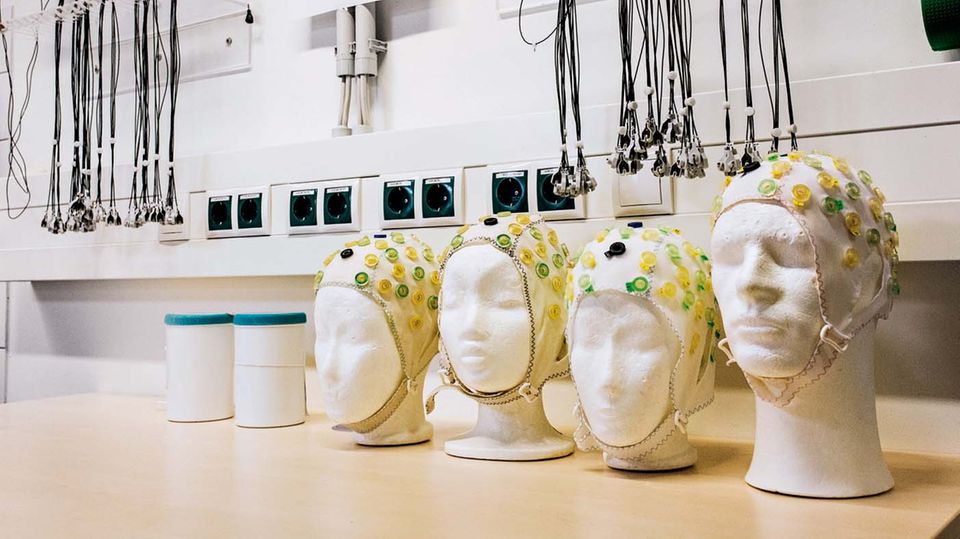 Ein Hirnforscher entdeckt den Wert des Vergessens Auf Styroporköpfen trocknen Elektroden, die für EEG-Messungen genutzt werden
