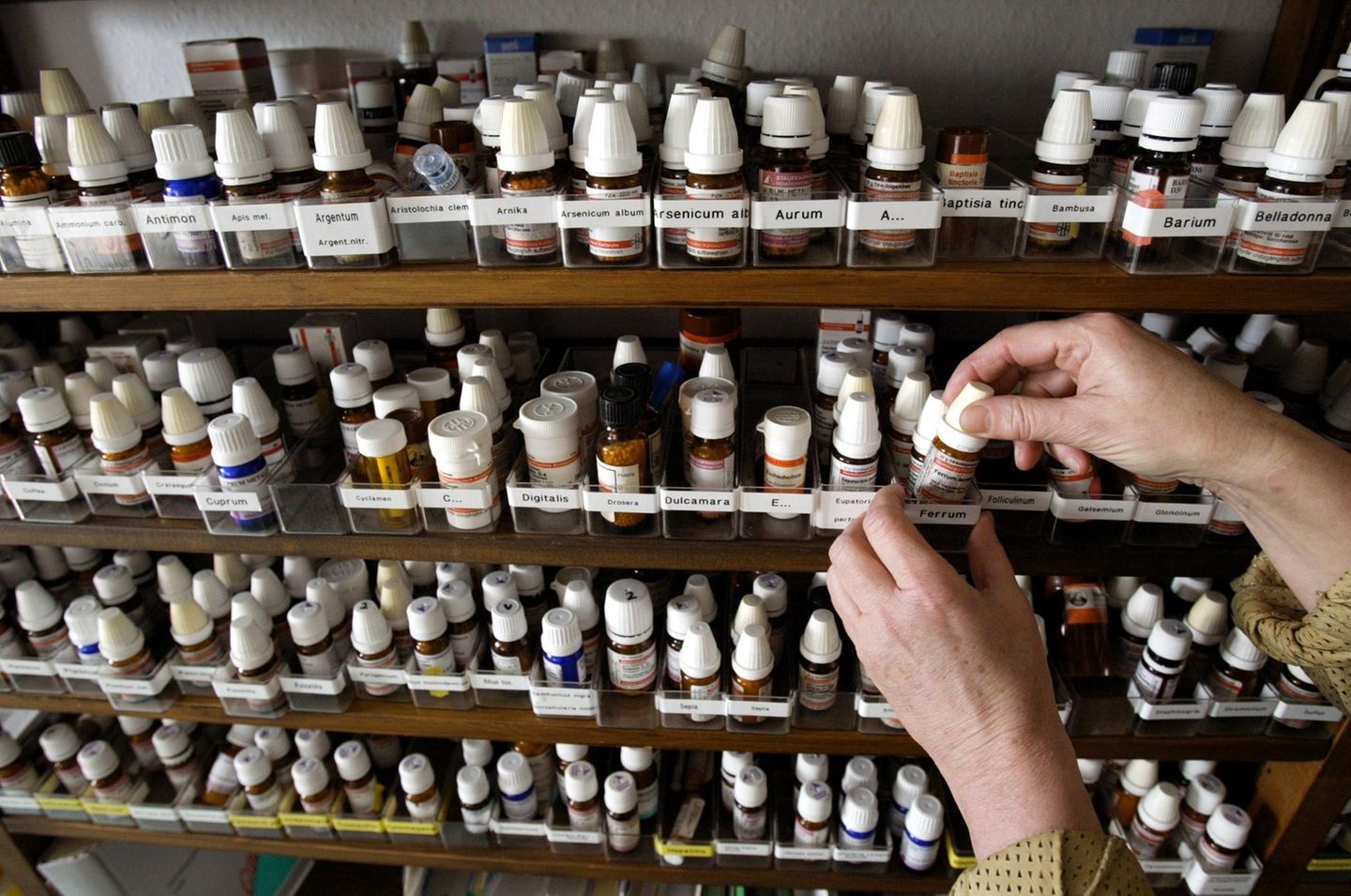 Homöopathie, um das Blut zu verdünnen