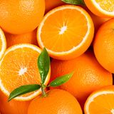 Schimmel und Bakterien lieben Feuchtigkeit: Deswegen gehören weich-fleischiges Obst und Gemüse, die bereits Schimmel angesetzt haben in den Müll. Dazu zählen beispielsweise Orangen oder Tomaten.