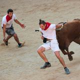 Zuvor versuchen Wagemutige die Tier abzulenken, wobei es auch hier zu Verletzten kommt, ehe der Torero seinen Auftritt hat.
