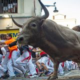 Wie in den vergangenen Tagen gab es am Freitagmorgen eine sehr schnelle Hatz von nur gut zwei Minuten