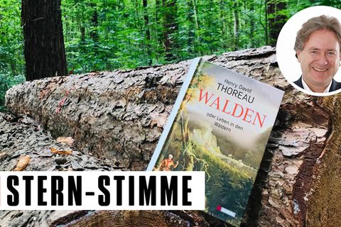 F. Behrendt: Der Guru der Gelassenheit: Zurück zur Natur am Tag der Einfachheit