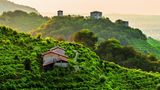 Die Hügel des Prosecco zwischen Vittorio Veneto und Valdobbiadene, Italien