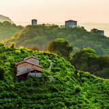 Die Hügel des Prosecco zwischen Vittorio Veneto und Valdobbiadene, Italien