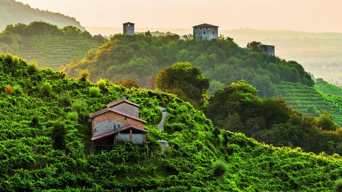 Die Hügel des Prosecco zwischen Vittorio Veneto und Valdobbiadene, Italien