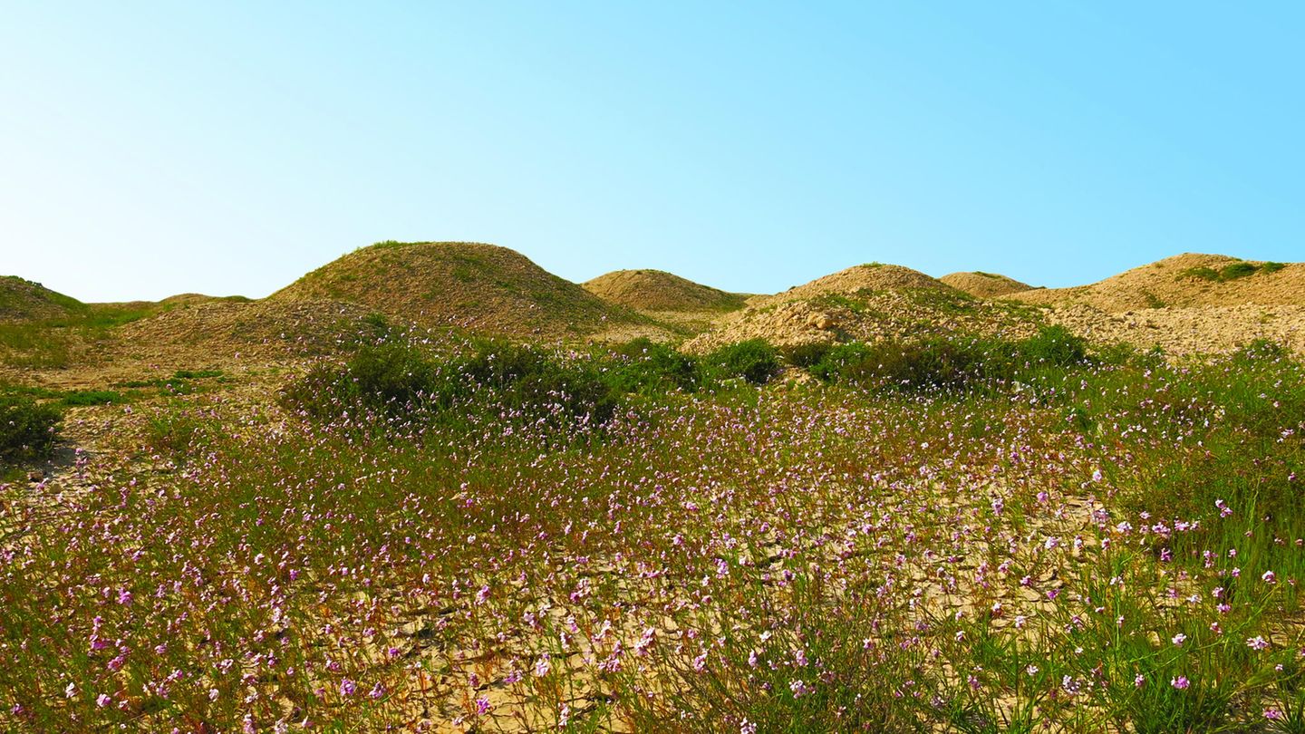 Dilmun-Grabhügel, Bahrain