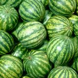 Tipp 1: Suchen Sie eine gleichmäßig geformte Wassermelone aus.  Achten Sie darauf, dass die Frucht nicht verbeult oder unregelmäßig in ihrer Form ist. Die Wassermelone sollte fest sein und keine weichen oder eingedrückten Stellen haben.