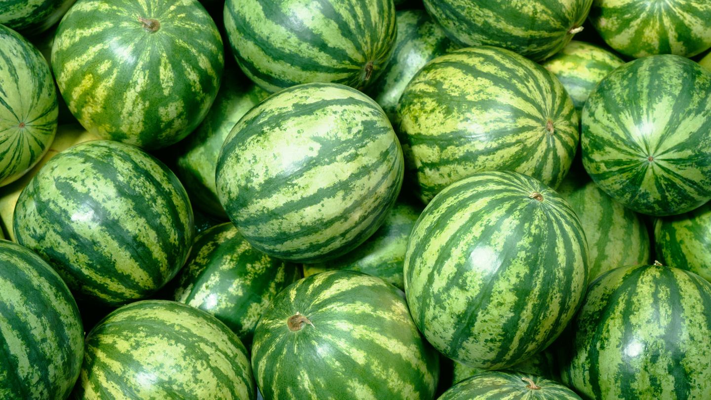 Tipp 1: Suchen Sie eine gleichmäßig geformte Wassermelone aus.  Achten Sie darauf, dass die Frucht nicht verbeult oder unregelmäßig in ihrer Form ist. Die Wassermelone sollte fest sein und keine weichen oder eingedrückten Stellen haben.