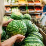 Tipp 2: Wiegen und vergleichen Sie die Wassermelone  Eine reife Wassermelone ist schwerer als eine weniger reife. Das zusätzliche Gewicht ist ein guter Indikator dafür, dass die Frucht voll Wasser ist und nicht trocken und geschmacksneutral. Vergleichen Sie deshalb verschiedene Früchte der gleichen Größe. Wählen Sie immer die schwerste aus.