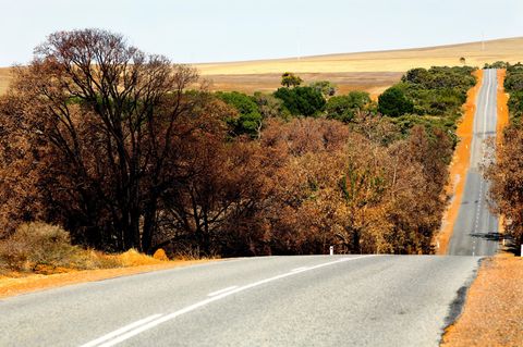 Vier Kinder und Jugendliche sind mit einem Auto rund 1000 Kilometer durch Australien gefahren (Symbolbild)