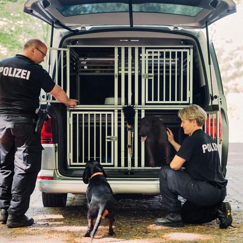 Ausbildung Hundestaffel Hamburg