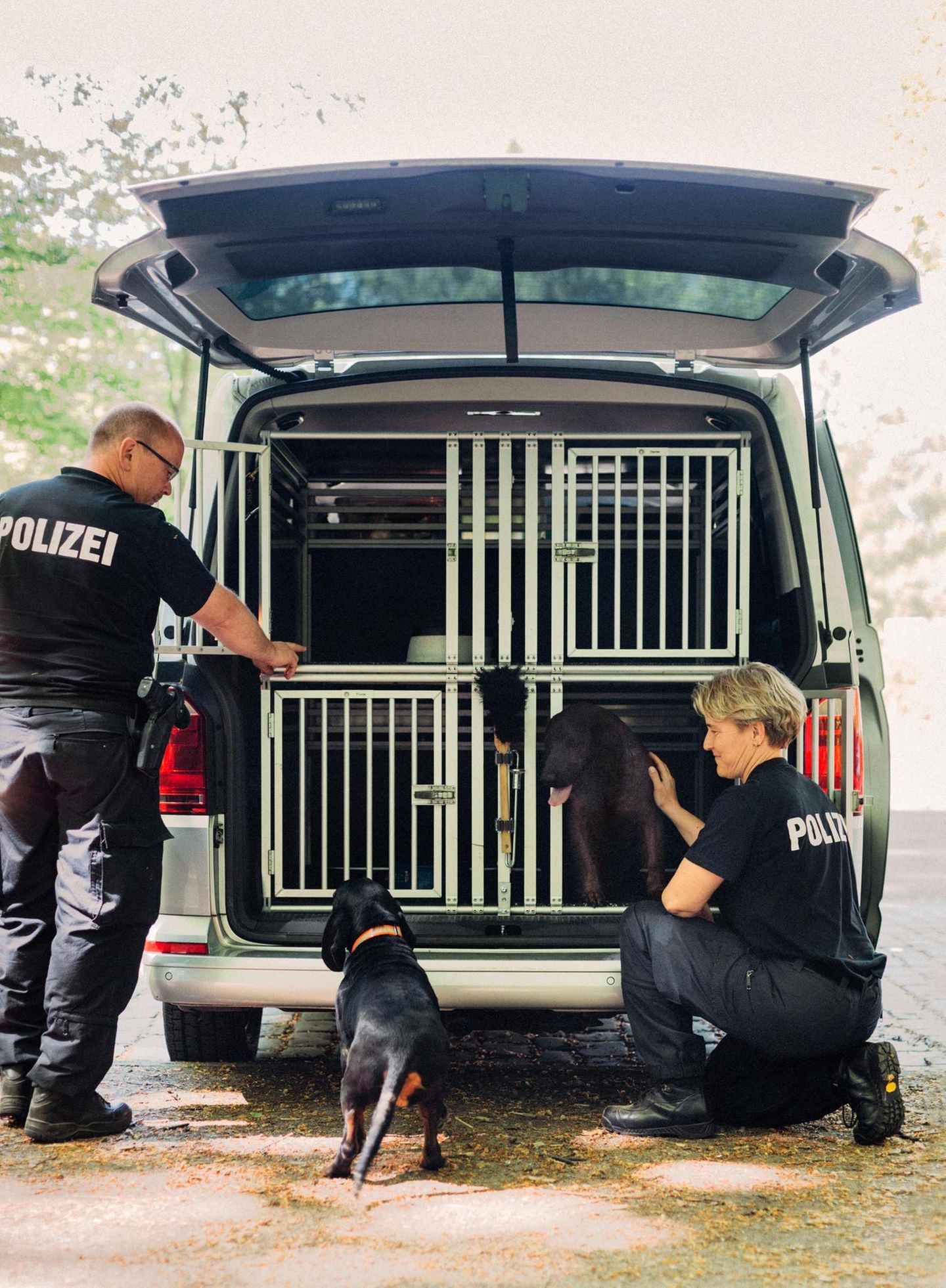 Ausbildung Hundestaffel Hamburg
