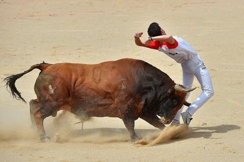 Stierhatz in Pamplona