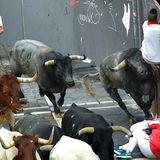 Stierhatz in Pamplona