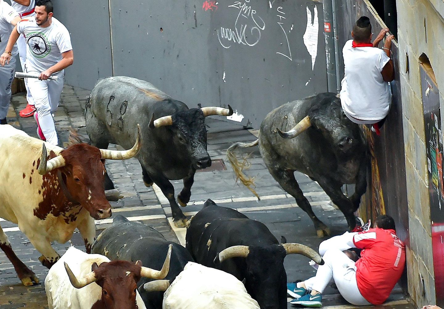 Stierhatz in Pamplona