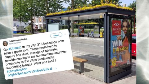 Nachhaltigkeit: Utrecht hat jetzt Bushaltestellen für Bienen