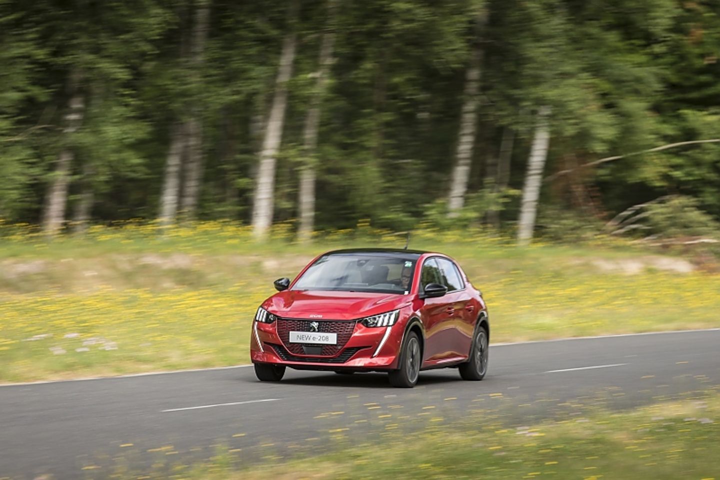 Peugeot e-208