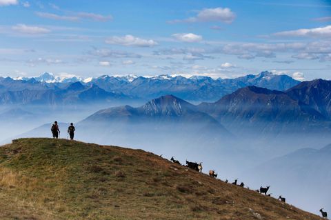 Lugano Trekking