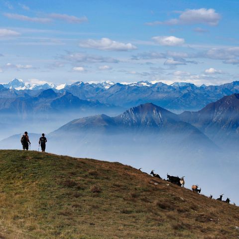 Lugano Trekking